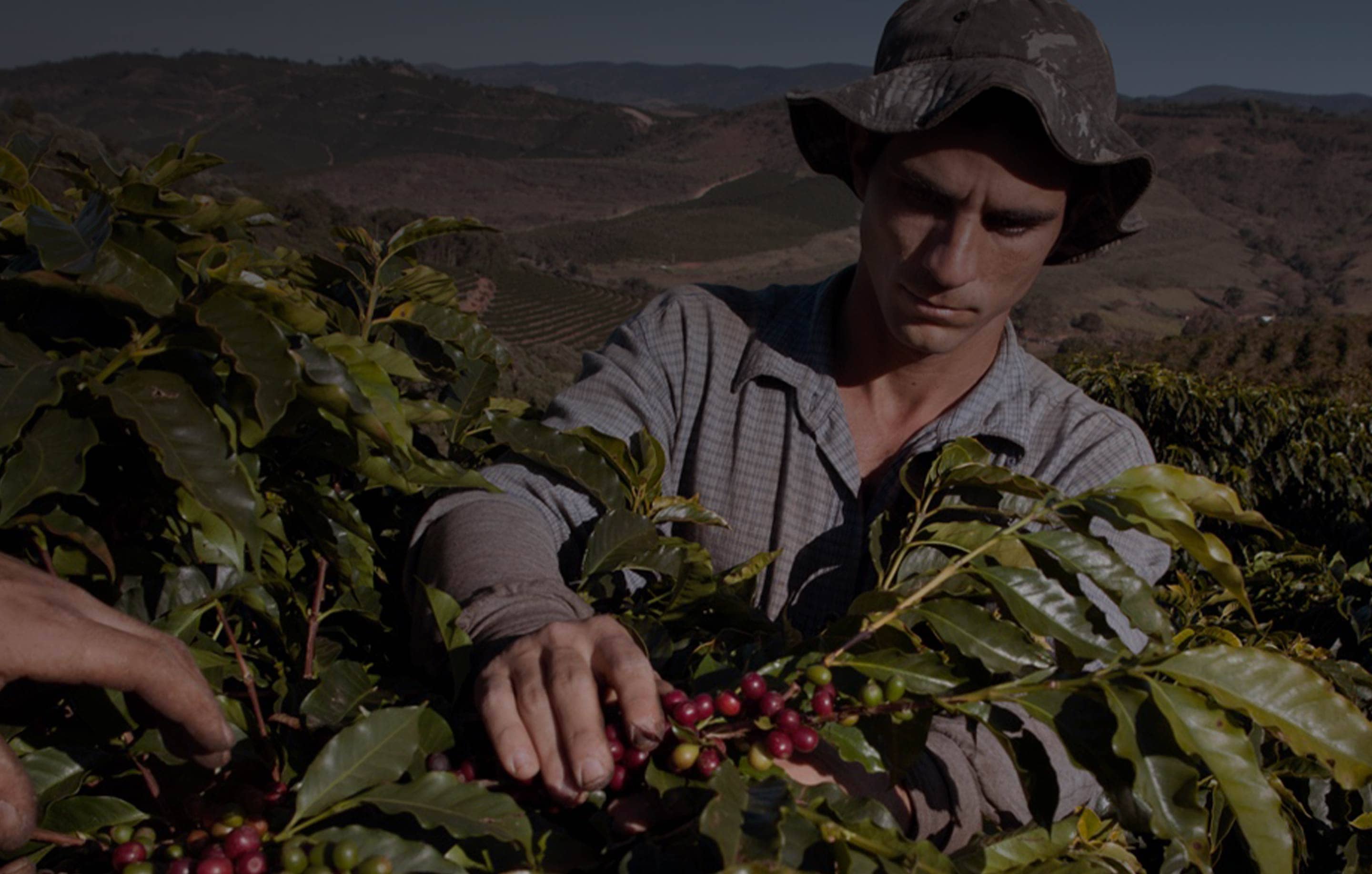 Life of a coffee farmer