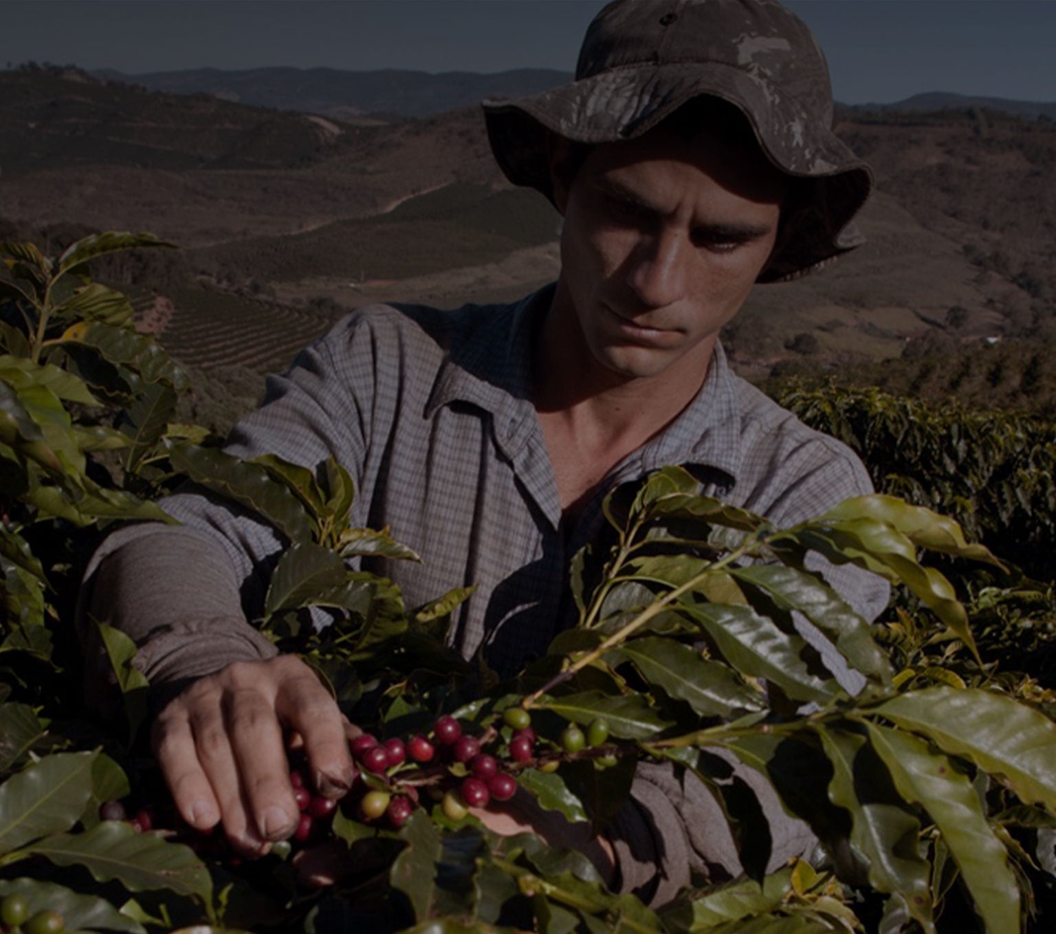 Life of a coffee farmer