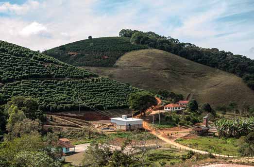 coffee plantation Brazil